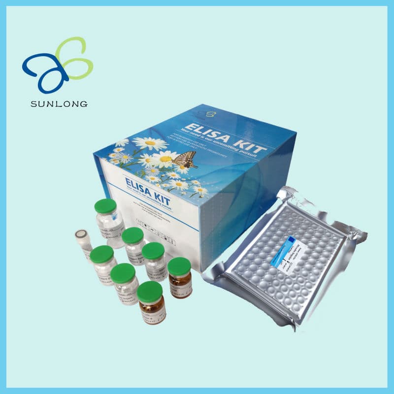 Human Estradiol_E2 ELISA Kit